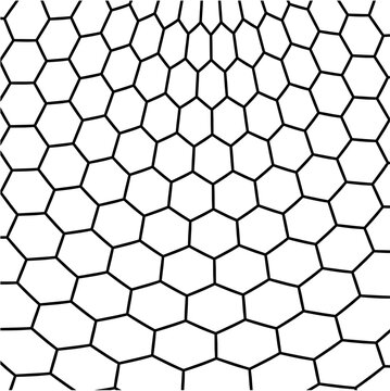square area with a modified honeycomb pattern of black lines, modern abstract design, hexagon, bee, honey, beekeeper, pollination,