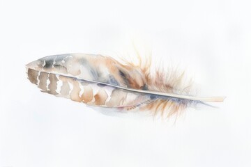 A watercolor painting depicting a pelican feather against a white background.