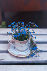 Beautiful spring forget-me-nots coffee cup