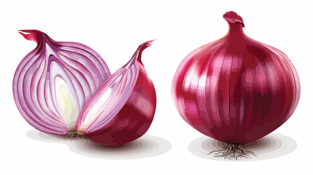 Red onion vegetable realistic icon Flat vector isolated