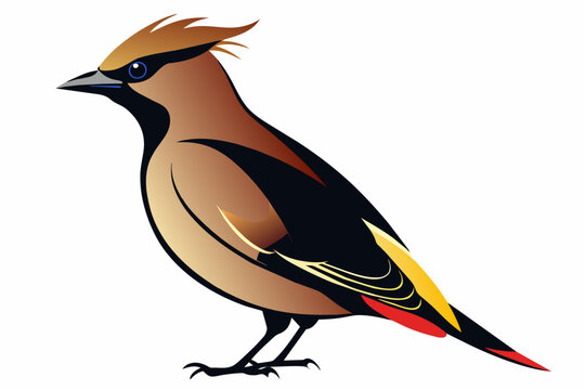 recommend clip art:  Waxwing bird silhouette vector illustration