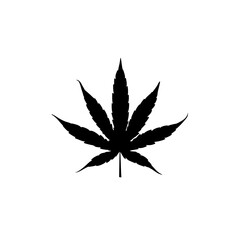 a cannabis leaf on a white surface.