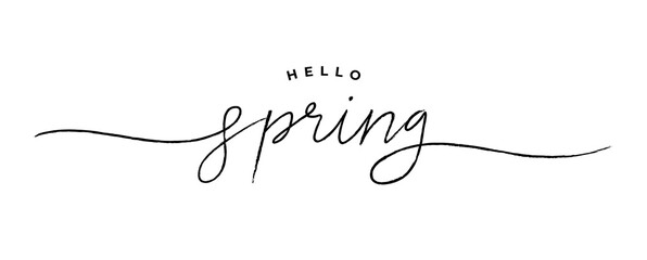 Hello spring calligraphy and brush pen lettering. Hand drawn holiday ink illustration. Isolated on white. Design for greeting card text, invitation, poster. Modern style typography background. - obrazy, fototapety, plakaty