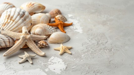 Fototapeta na wymiar Seashells and Starfish on White Textured Background