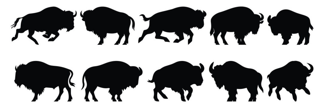 Bison buffalo silhouettes set, large pack of vector silhouette design, isolated white background