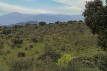 Obraz premium landscape, view, sunrise, nature, flora, spain, plants, spring,