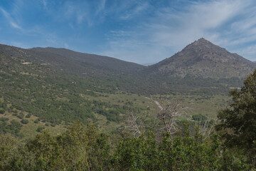 landscape, view, mountains, plants, trees, hiking, tourism, natu