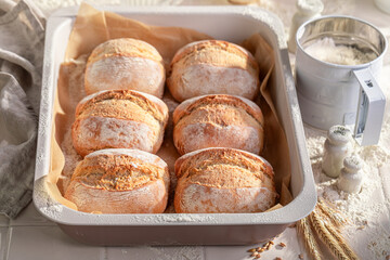Hot and tasty rolls freshly baked in home bakery. - 766311577