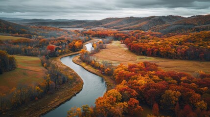 Meandering River Through Autumn-Hued Forest