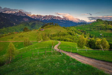 Winding rural road on the green meadow at sunset - 766312339