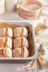 Fresh and hot buns for perfect and healthy breakfast. - 766312585