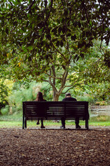 Observatory Hill Park Sydney Australia City Couple on a bench