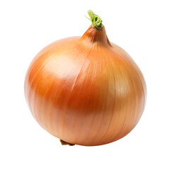 Onion in isolated white background