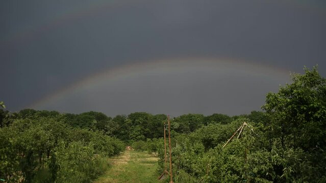 a big rainbow in the sky after the rain in the garden or park