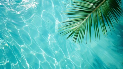 Palm leaf on background of openwork blue clear sea, minimalism, summer concept close up.