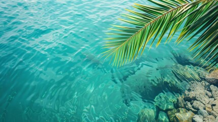 Palm leaf on background of openwork blue clear sea, minimalism, summer concept close up. - obrazy, fototapety, plakaty