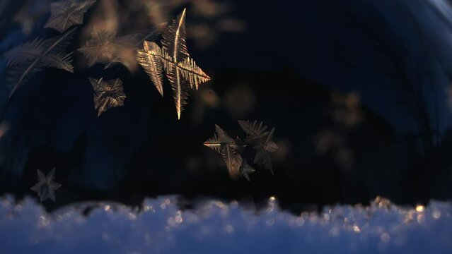 Macro shoot of frosty ice pattern. Growing crystall