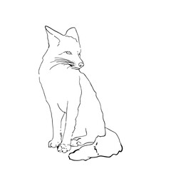 The fox is a black icon
