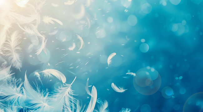 White soft feathers flying on blue bokeh.