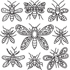 Insects coloring pages for coloring book. Insects outline vector.