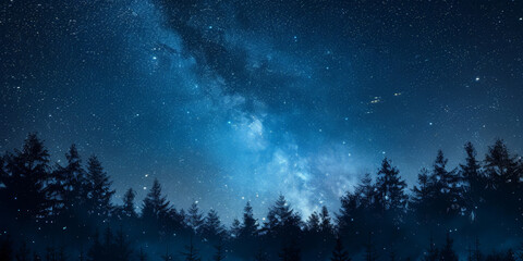 Fototapeta na wymiar Starry sky with trees background, banner