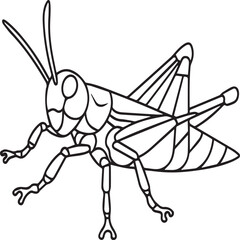 Insects coloring pages for coloring book. Insects outline vector.