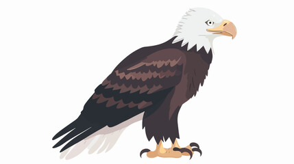 Bald eagle flat vector isolated on white background