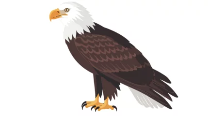 Foto op Plexiglas Bald eagle flat vector isolated on white background © RedFish