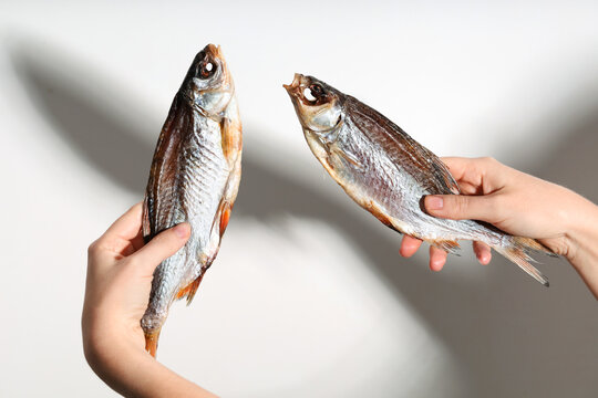 Dried dry fish taranka, ram, roach, bream, flatfish are held by female hands on a white background. Beer snack.