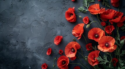 Vibrant red poppies scattered on a textured dark grey background, a symbolic floral tribute for Remembrance Day or Anzac Day commemorations - obrazy, fototapety, plakaty