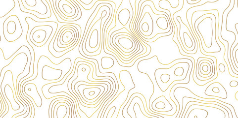Topographic map and landscape terrain texture grid. Abstract lines background. Contour maps. Vector illustration. golden and white topographic contours lines of mountains.	
