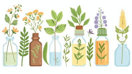 Essential Oils with Herbs flat vector isolated on white