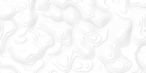 Abstract white paper cut background with line. 3d topography relief. Vector topographic illustration. realistic papercut decoration textured with wavy layer and shadow. seamless pattern wave design.