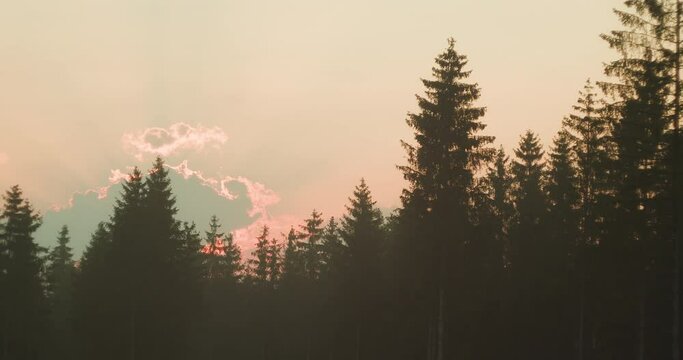 Soft sunset rays peeking through a forest. The day's final light caresses treetops, casting a fiery outline on the clouds. Summer landscape in woodland.