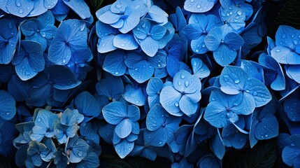 Blue style flowers background UHD wallpaper