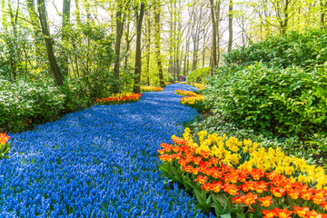 park with blooming tulips - 766343519