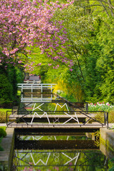 romantic bridge in a park