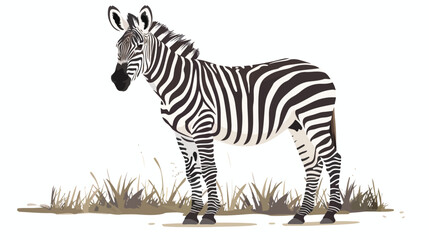 Grevys Zebra standing on a grass at Lake Nakuru - obrazy, fototapety, plakaty