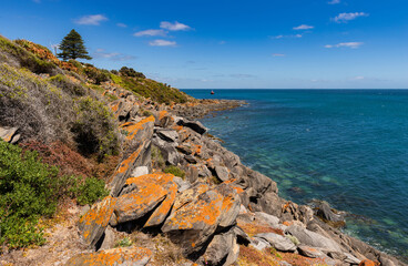 Beautiful rock formations along the coastline near Penneshaw with ferry arriving, Kangaroo Island, Australia