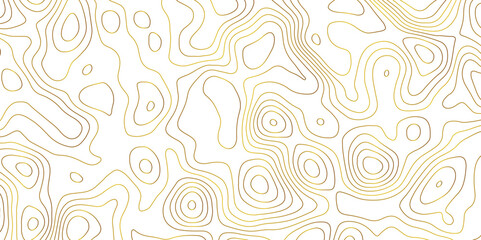 Topographic map and landscape terrain texture grid. Abstract lines background. Contour maps. Vector illustration. golden and white topographic contours lines of mountains.	
