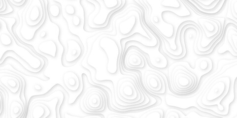 Abstract white paper cut background with line. 3d topography relief. Vector topographic illustration. realistic papercut decoration textured with wavy layer and shadow. seamless pattern wave design.