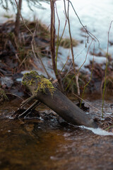 A branch in a running tranquil spring creek.
