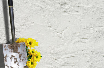 Spaten an einer Hauswand mit Frühlingsblumen #050324.05.3C