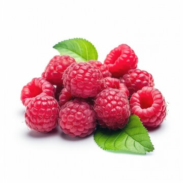 Illustration of a berry, a beautiful ripe raspberry on a bush, green leaves, an unusual picture.