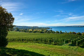 Bodensee Panorama: Alps on the Horizon, Vineyards, and Pastoral Beauty. Alpine Horizon: Bodensee, Vineyards, and Quaint Villages in the German Countryside. Vineyard Vistas: Bodensee, Alpine Peaks, and