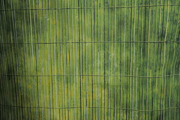 Green bamboo fence texture background with copy space for text or image.