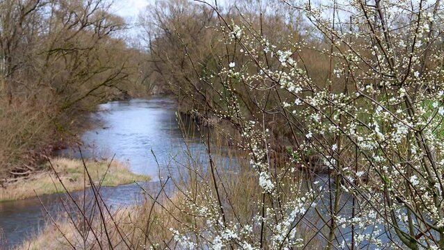 the german eder river in spring 4k 25fps video