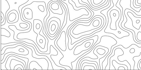 Abstract white topography vector background. Topography map art curve drawing. The concept of conditional geographical pattern and topography. Vector illustration. - obrazy, fototapety, plakaty