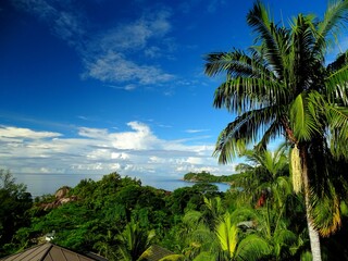 Fototapeta na wymiar Seychelles, Mahe island, view of Lazare bay and Gaulette cove