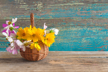 Happy birthday or mother's day greeting card template; Wicker basket with yellow daisies and pink cosmos flowers on a old blue paint wooden background; copy space
